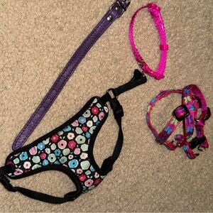 Cat accessories bundle